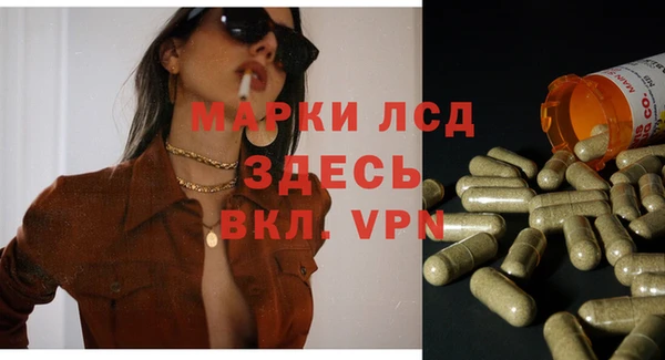 индика Магас