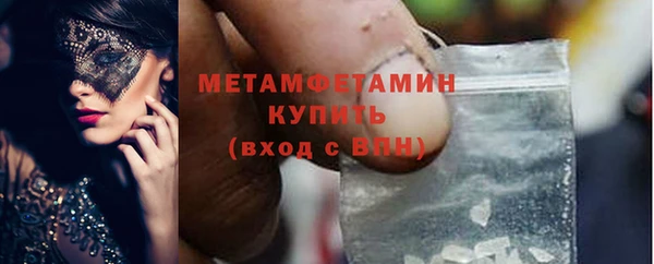 индика Горнозаводск