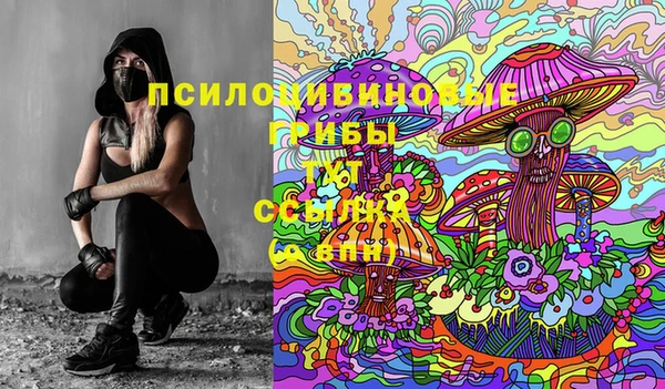 mdma Бородино