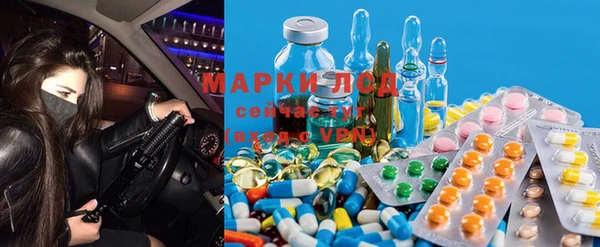 mdma Бородино