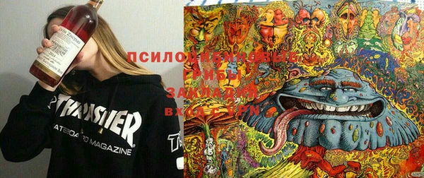 дживик Бронницы