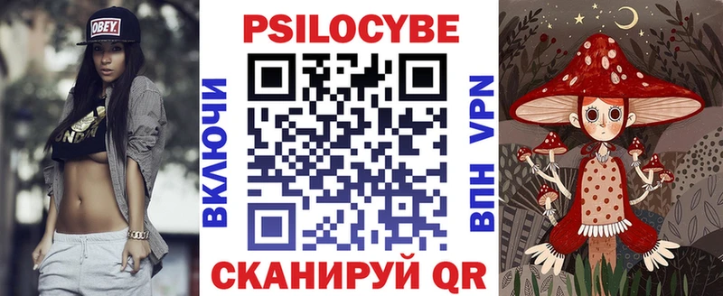 закладка  Новохопёрск  Псилоцибиновые грибы Psilocybe 