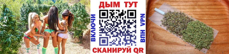 Шишки марихуана Amnesia  Новохопёрск 
